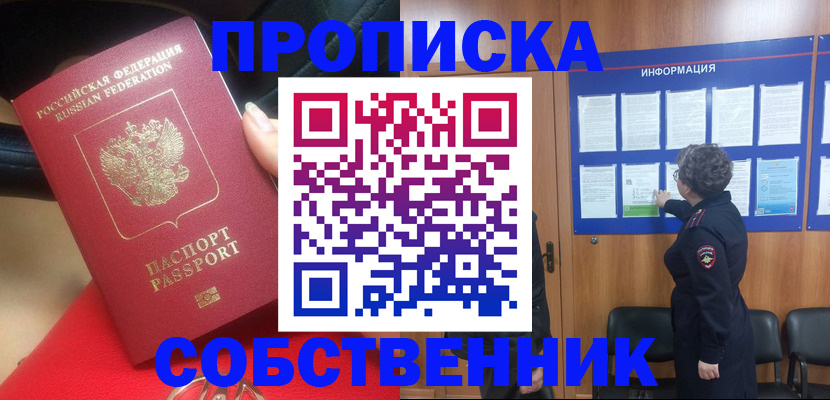 прописка для школы в Купино